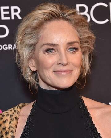 Sharon Stone's $12 Million Lawsuit Against Jeweler