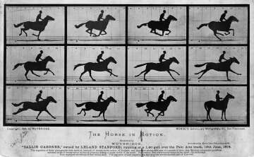 The Birth of Motion Pictures: The Historic 1878 Horse Experiment