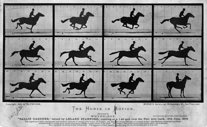 The Birth of Motion Pictures: The Historic 1878 Horse Experiment