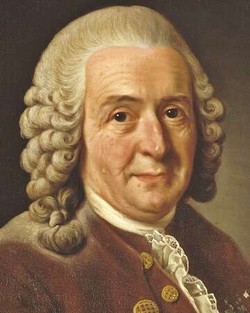 Celebrating the Life of Carl Linnaeus: Father of Taxonomy