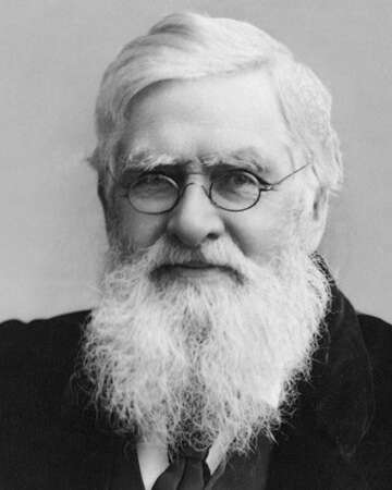 Celebrating the Birth of Alfred Russel Wallace: Pioneer of Evolution