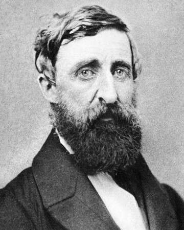 The Life and Death of Henry David Thoreau