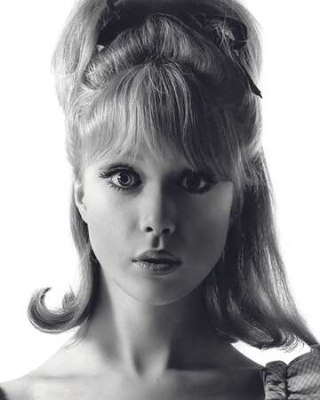 Celebrating Pattie Boyd: A Life in Love and Art