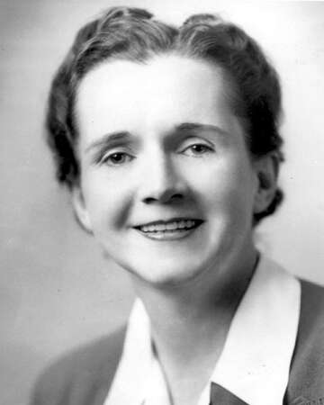 Celebrating Rachel Carson: A Pioneer of Conservation