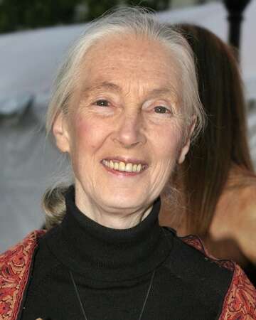 Celebrating Jane Goodall's 90th Birthday