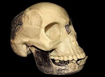 Unraveling the Piltdown Man Hoax: The Great Ape-Man Conspiracy of 1912