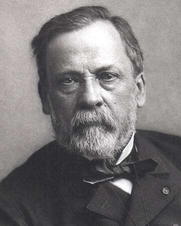 Celebrating the Birth of Louis Pasteur