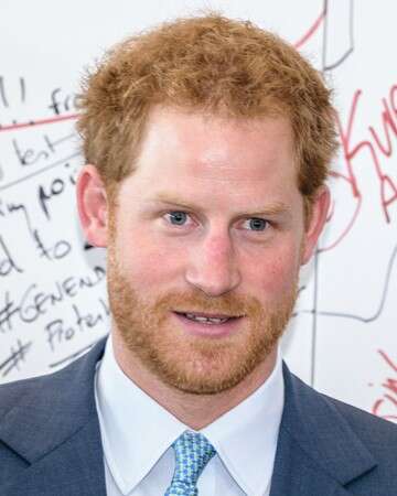 Prince Harry’s Revelations on Royal Ambitions