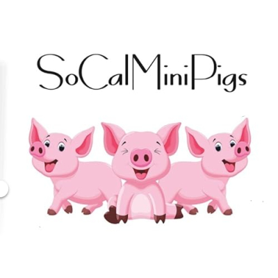 SoCalMiniPigs Recommendations for your mini pig!