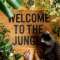 Jungle Home favourites Profile