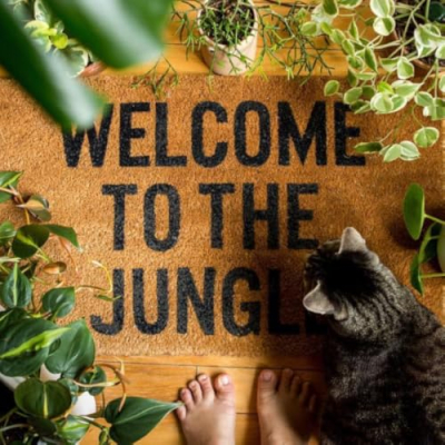 Jungle Home favourites