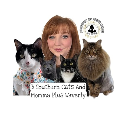 3southerncatsandmomma