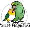 Parrot Playhouse Profile