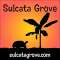 Sulcata Grove Profile