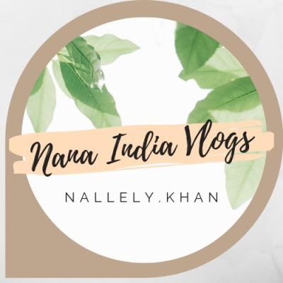 Nana India Vlogs