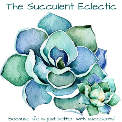 thesucculenteclectic